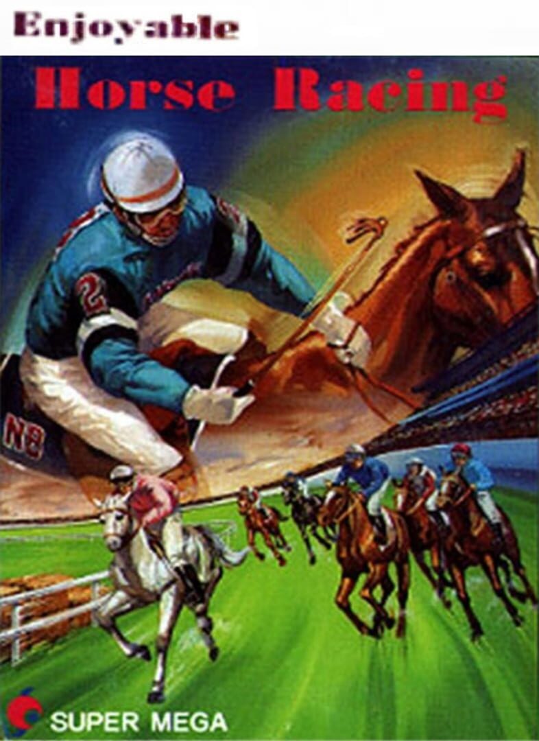 Copertina di 1991 Du Ma Racing