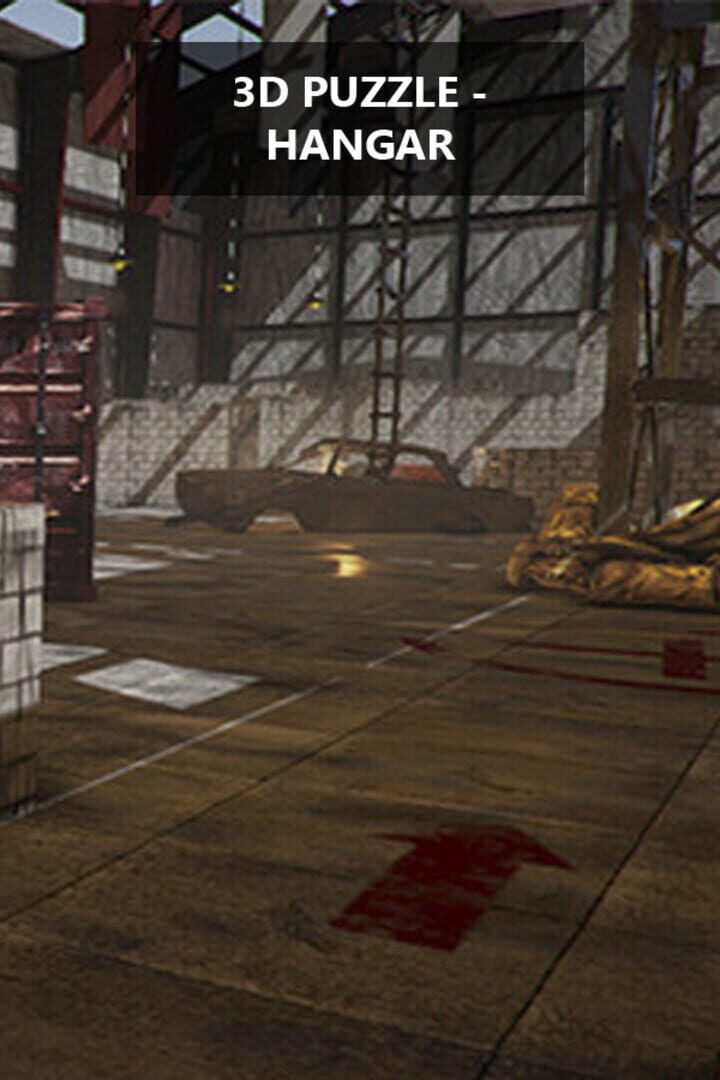 Couverture de 3D Puzzle: Hangar