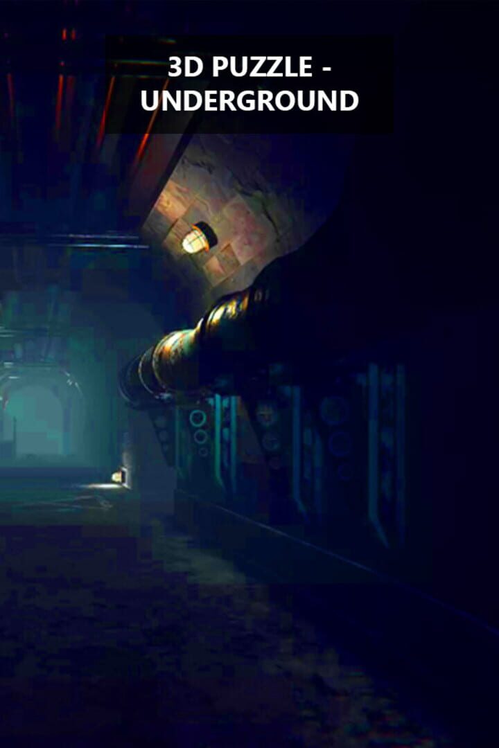 3D Puzzle: Underground Cover