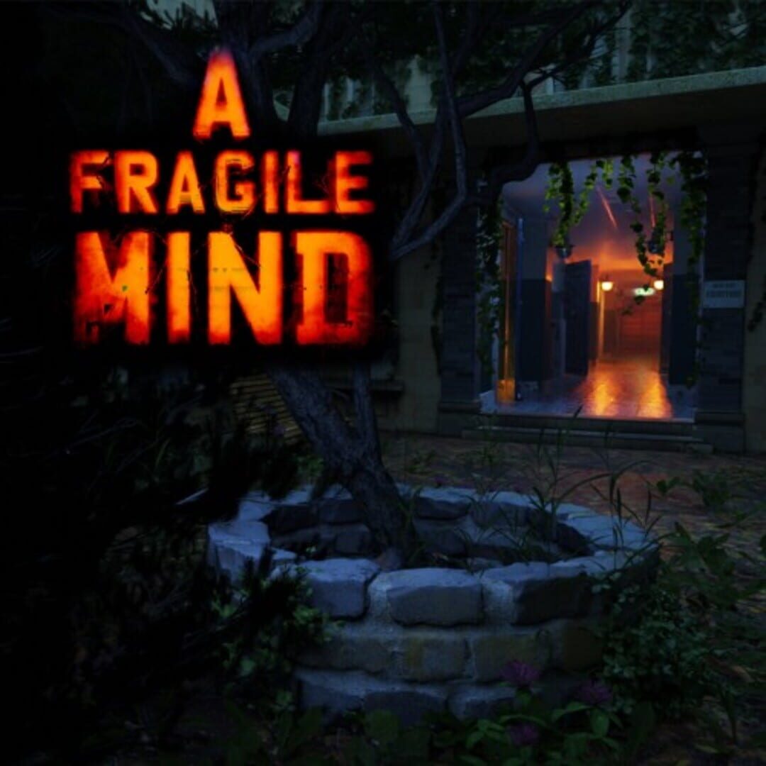 Copertina di A Fragile Mind