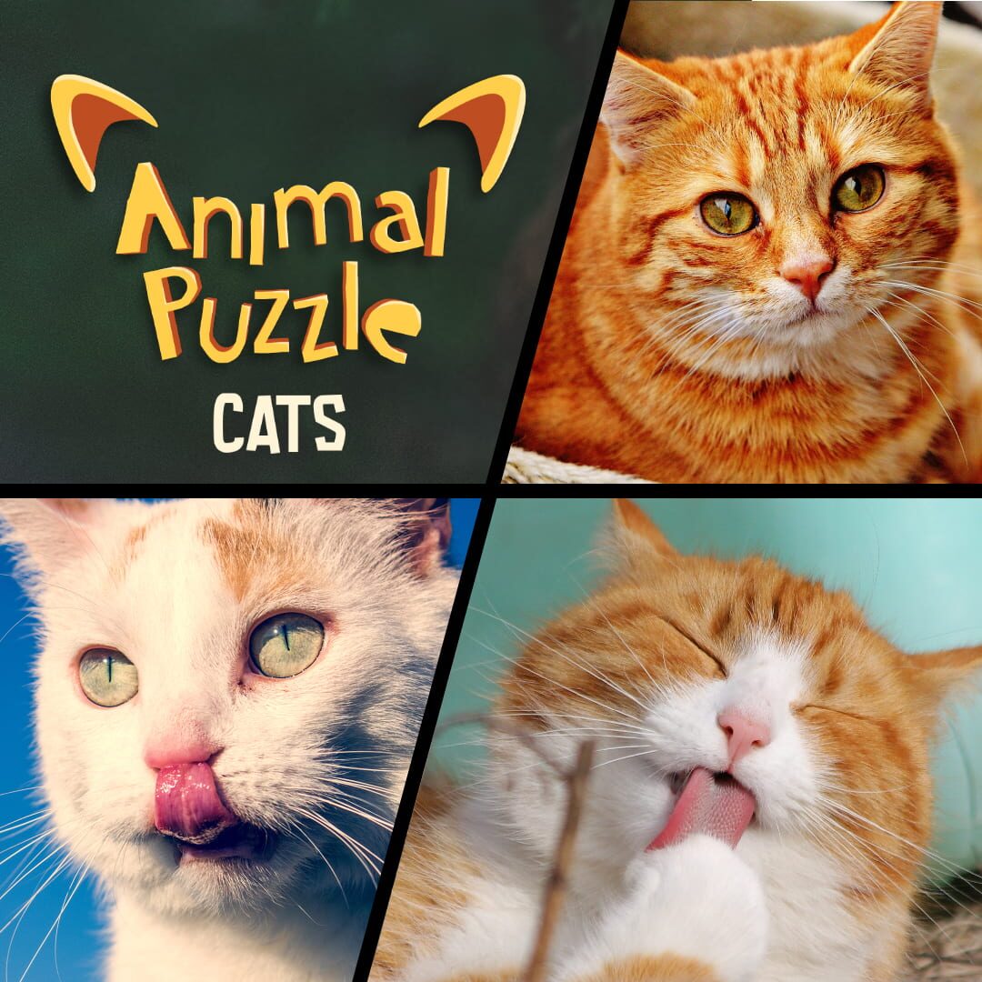 Copertina di Animal Puzzle Cats