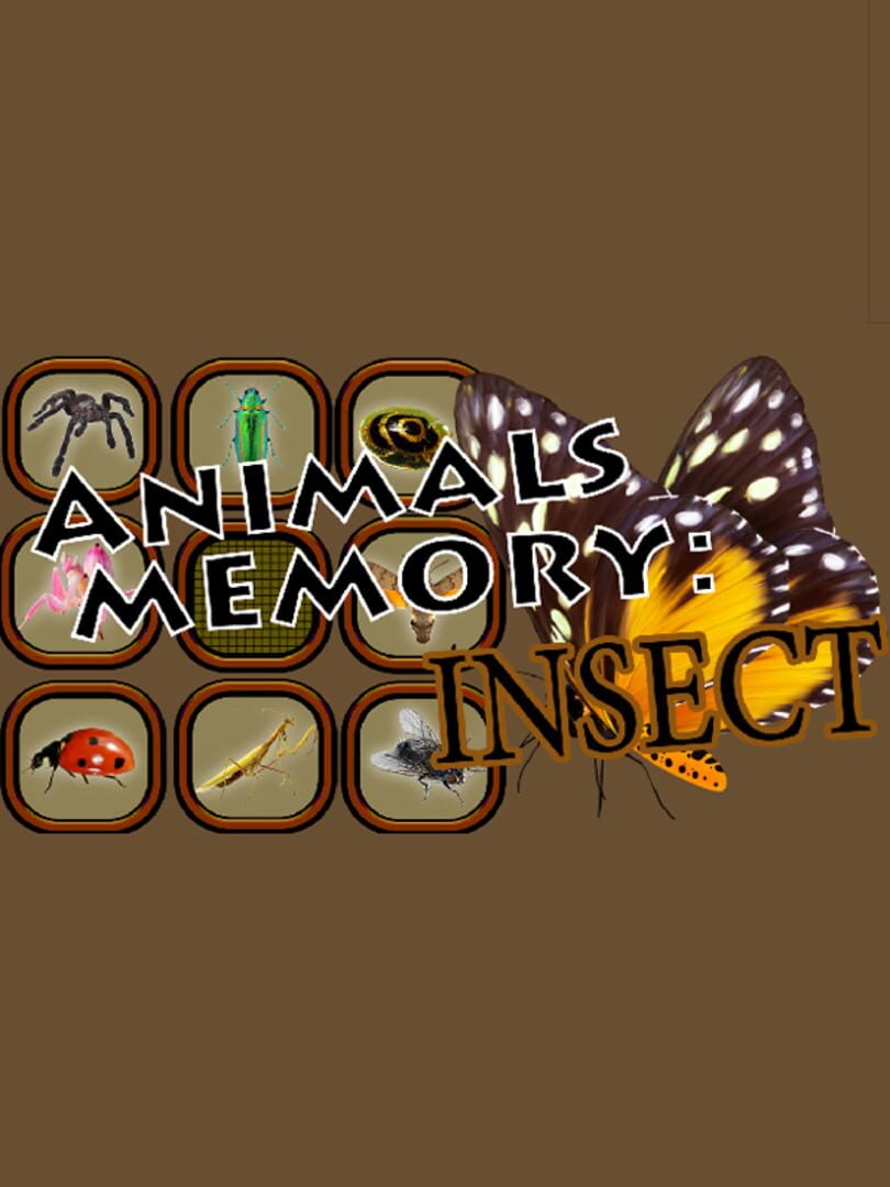 Couverture de Animals Memory: Insect