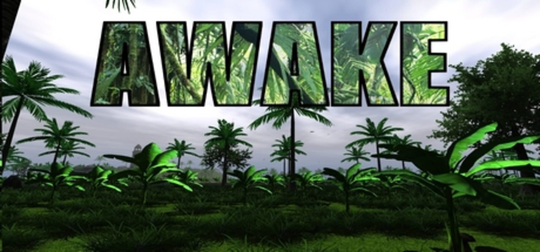 Awake Cover