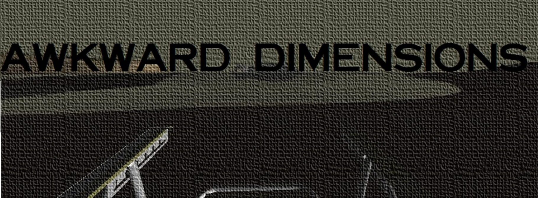 Couverture de Awkward Dimensions
