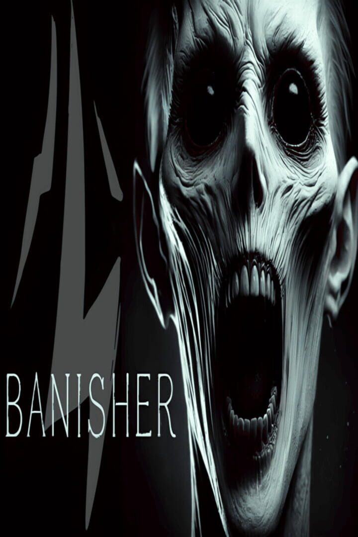 Capa de Banisher