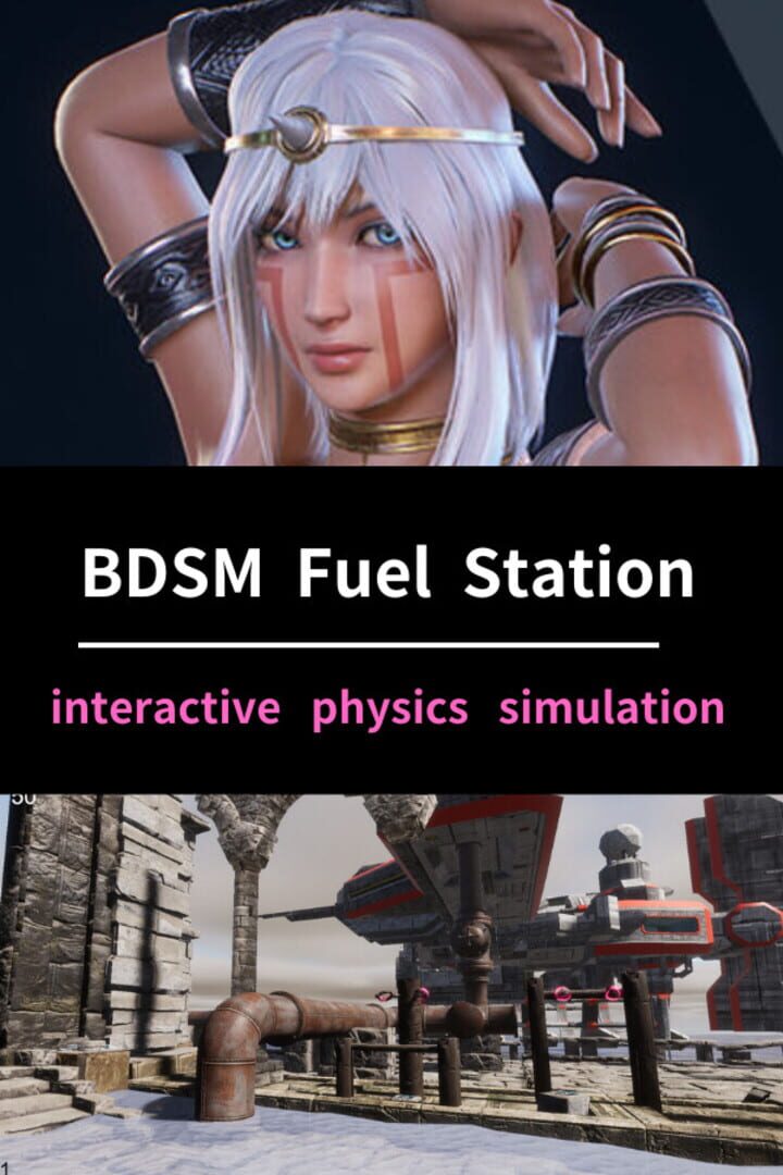 Capa de BDSM Fuel Station: Interactive Physics Simulation