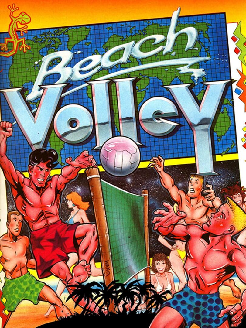 Capa de Beach Volley