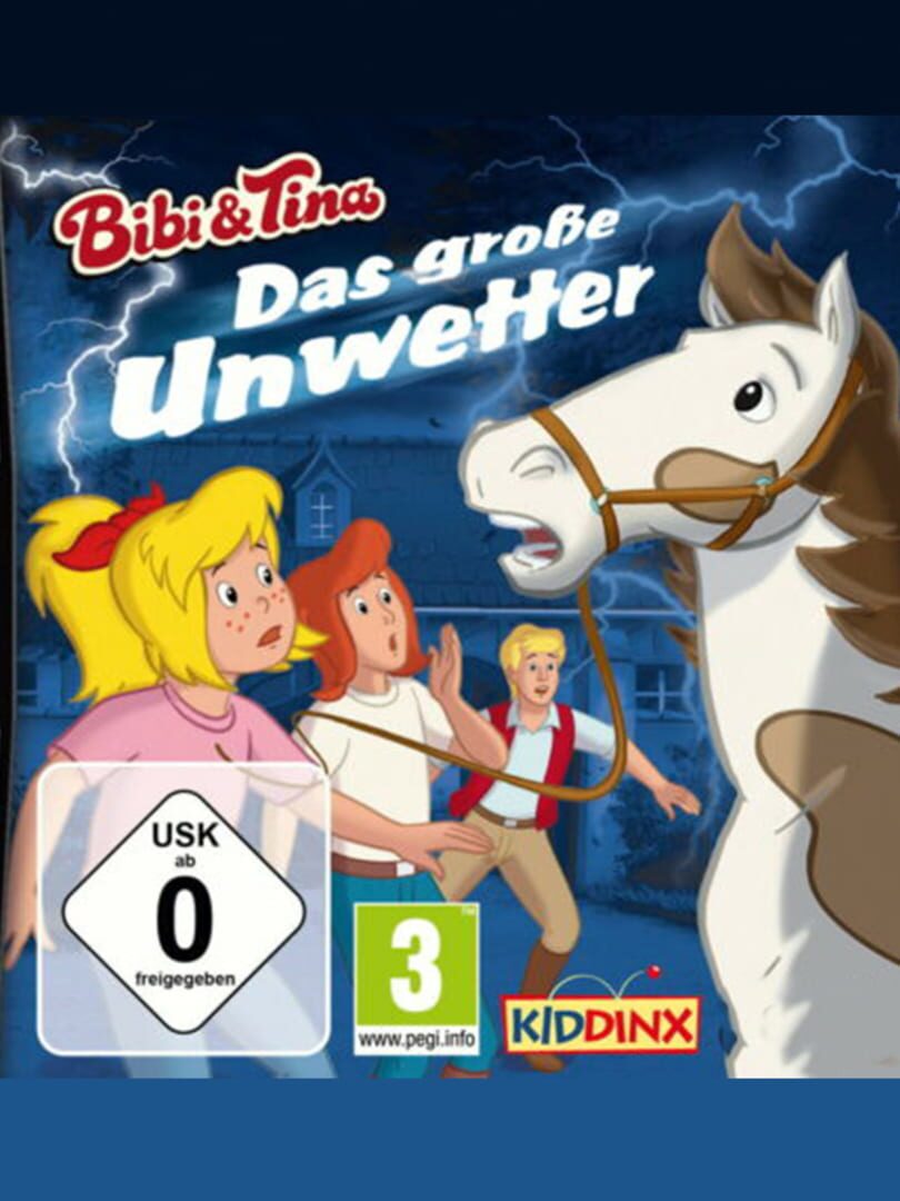 Bibi & Tina: Das große Unwetter 커버