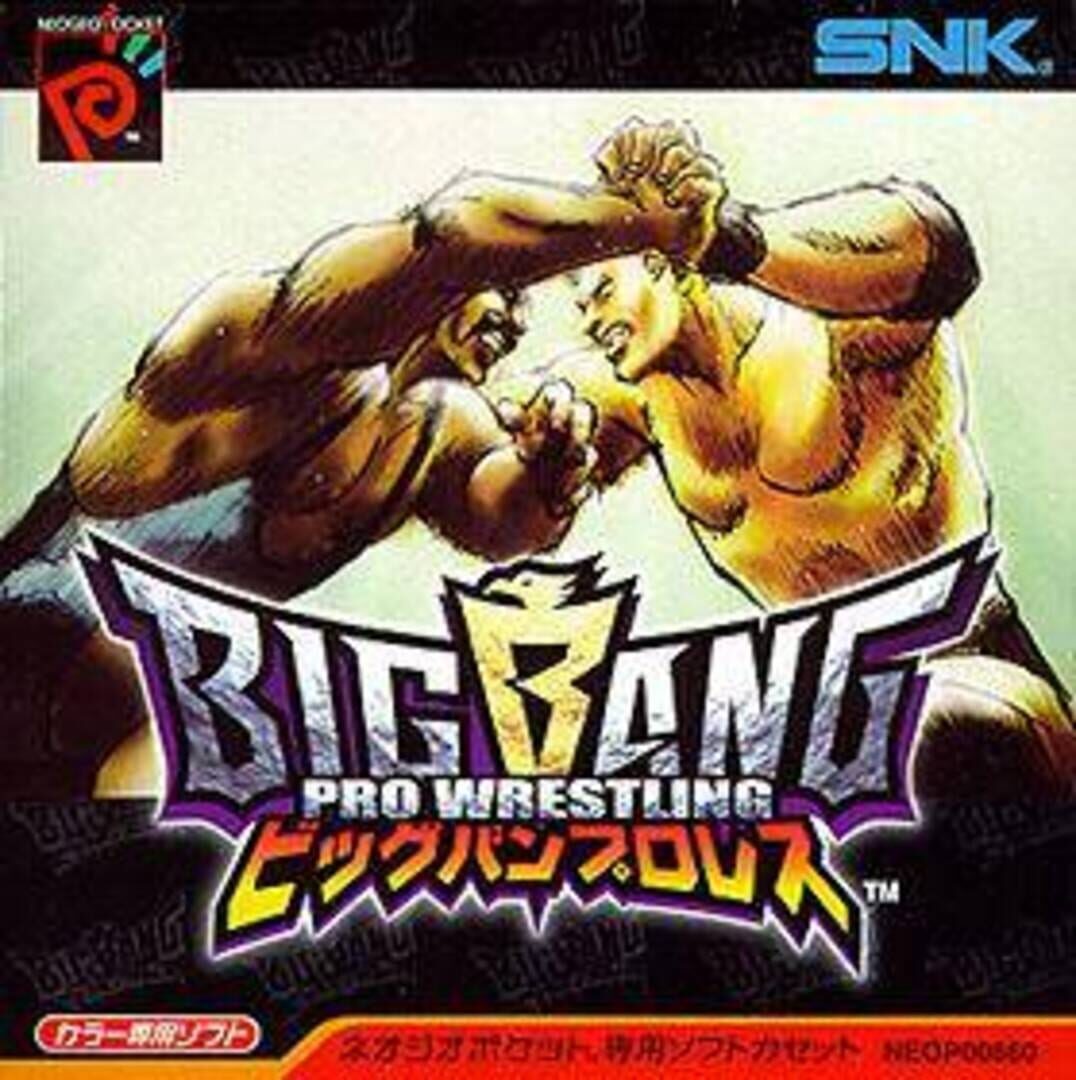 Big Bang Pro Wrestling カバー
