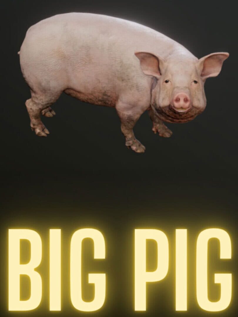 Big Pig Cover