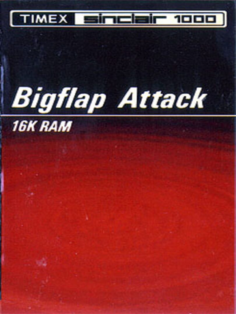 Bigflap Attack Kapağı