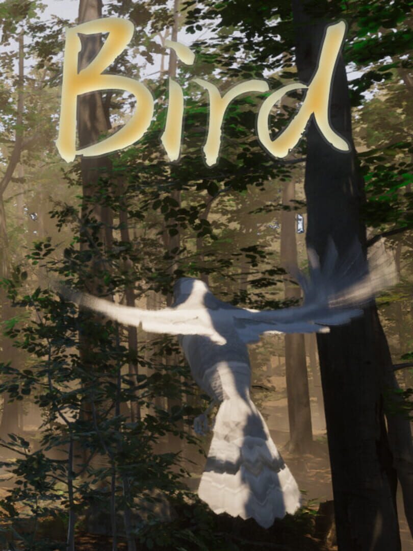 Copertina di Bird