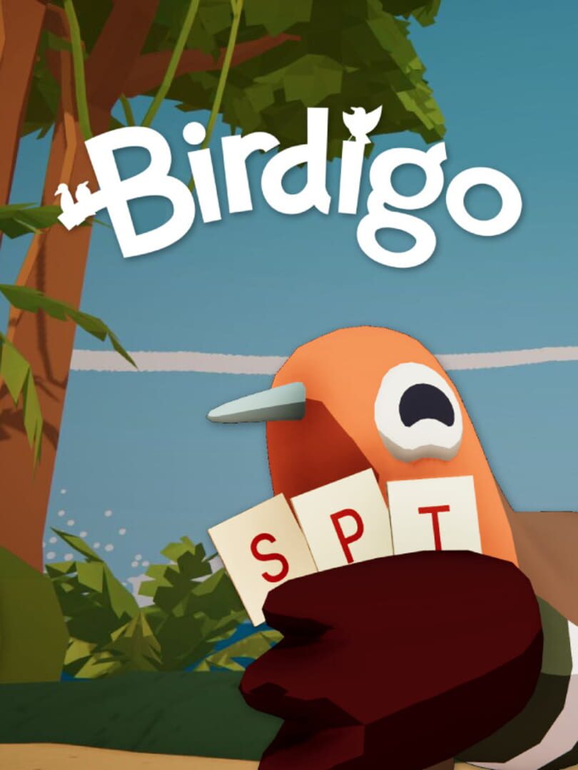 Capa de Birdigo