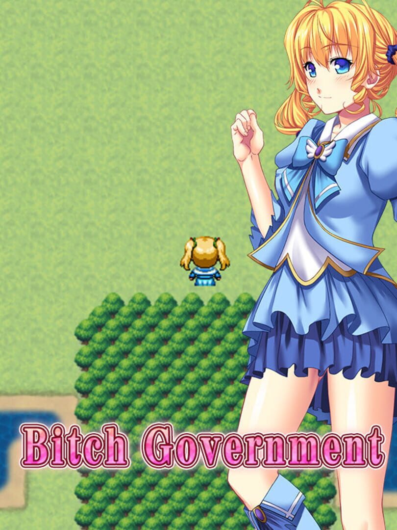 Bitch Government 커버