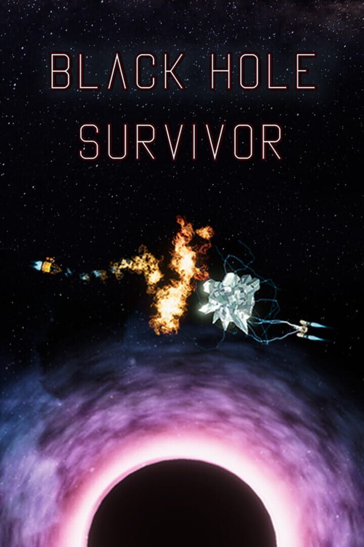 Black Hole Survivor 커버