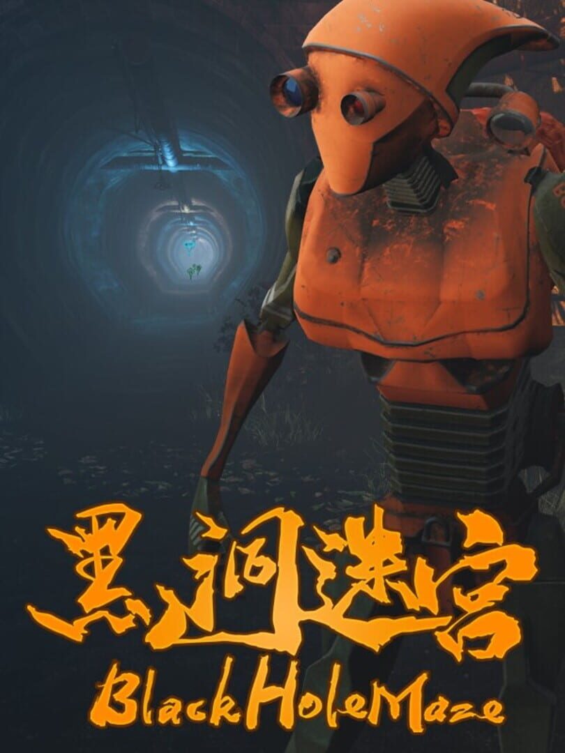 Couverture de BlackHoleMaze