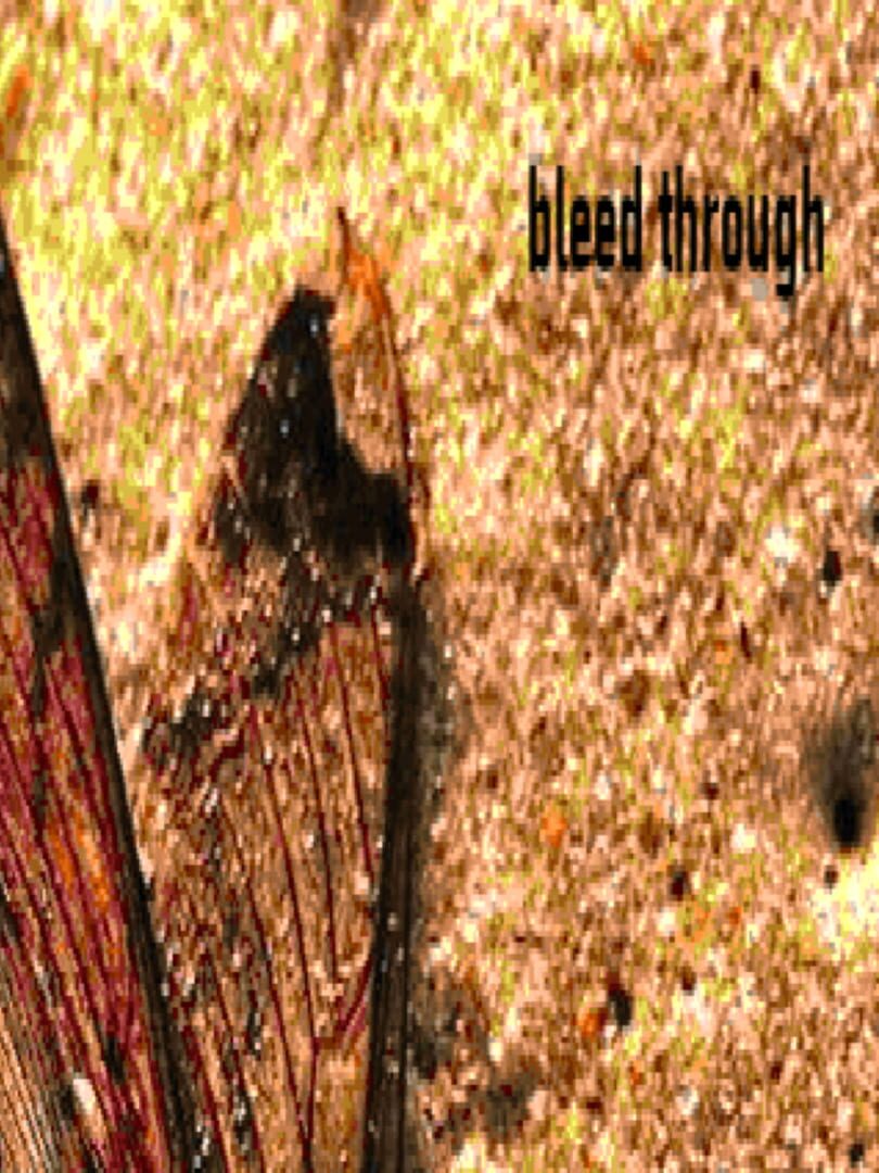 Bleedthrough カバー