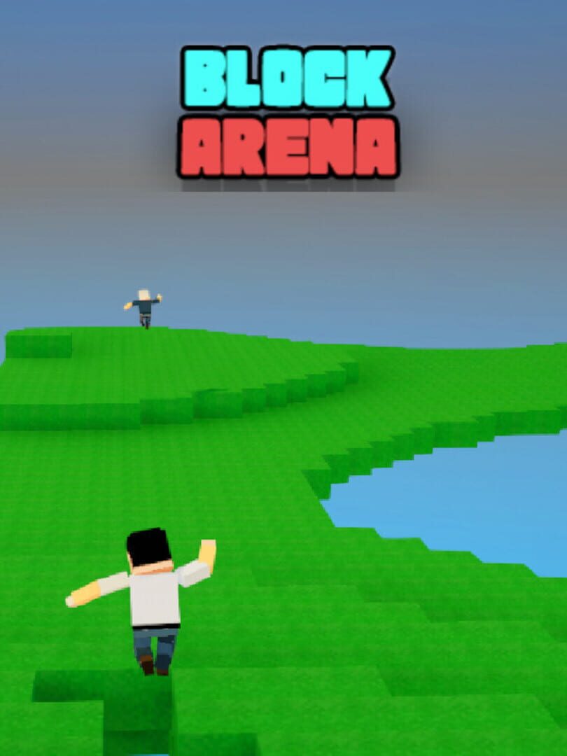 Block Arena Cover