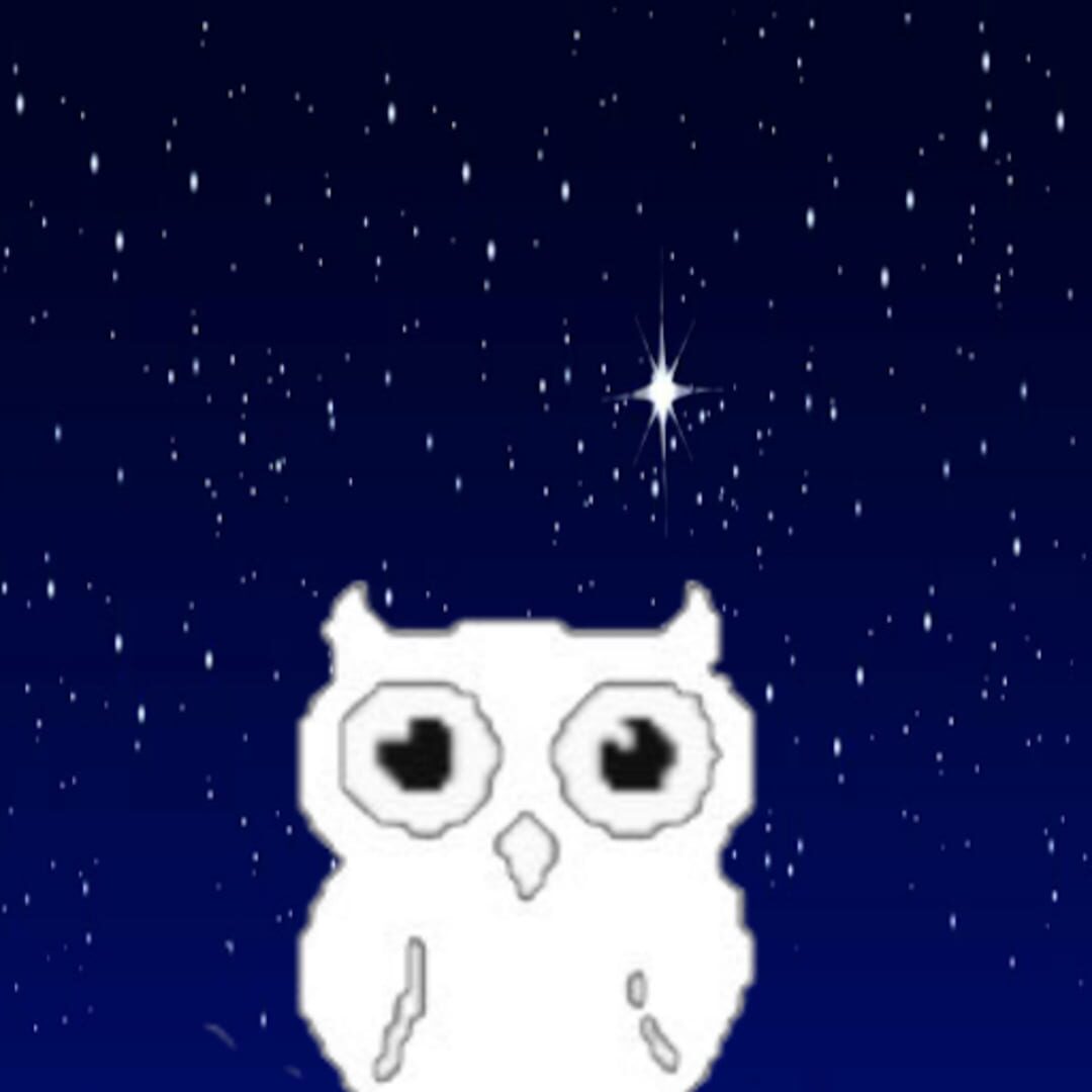 Copertina di Block Owl
