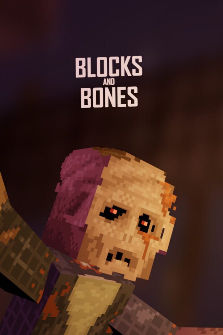 Couverture de Blocks and Bones