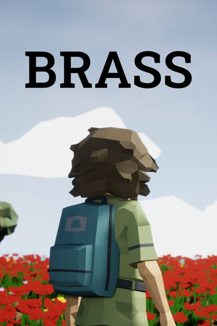 Copertina di Brass
