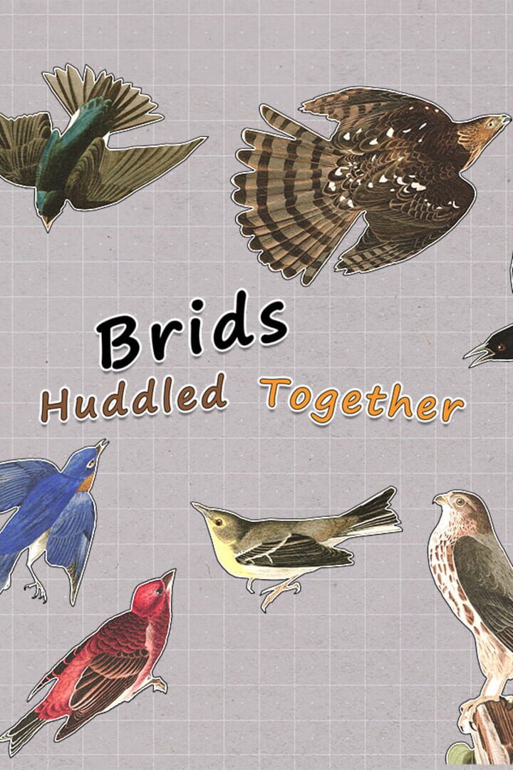 Brids Huddled Together Kapağı