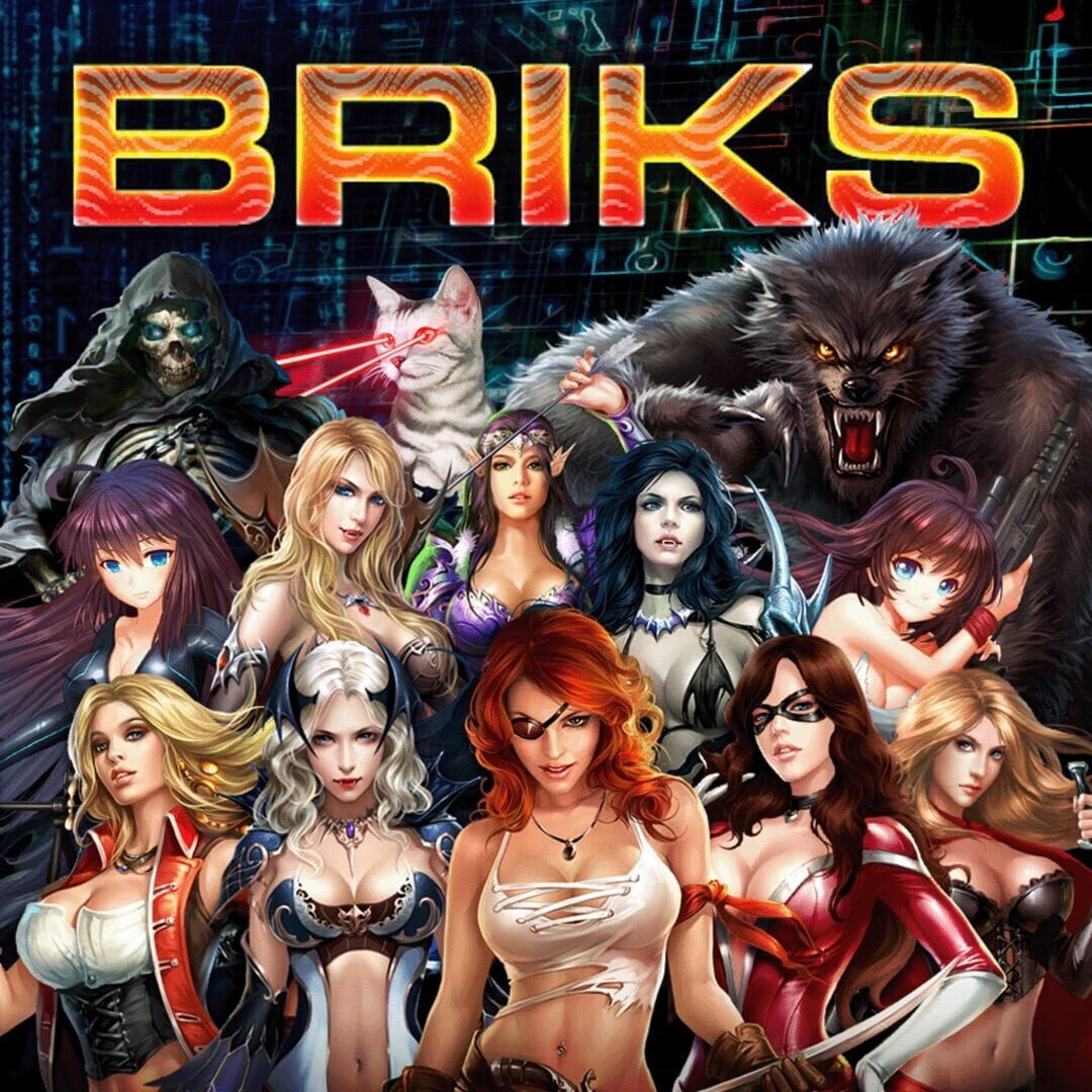 Briks Kapağı