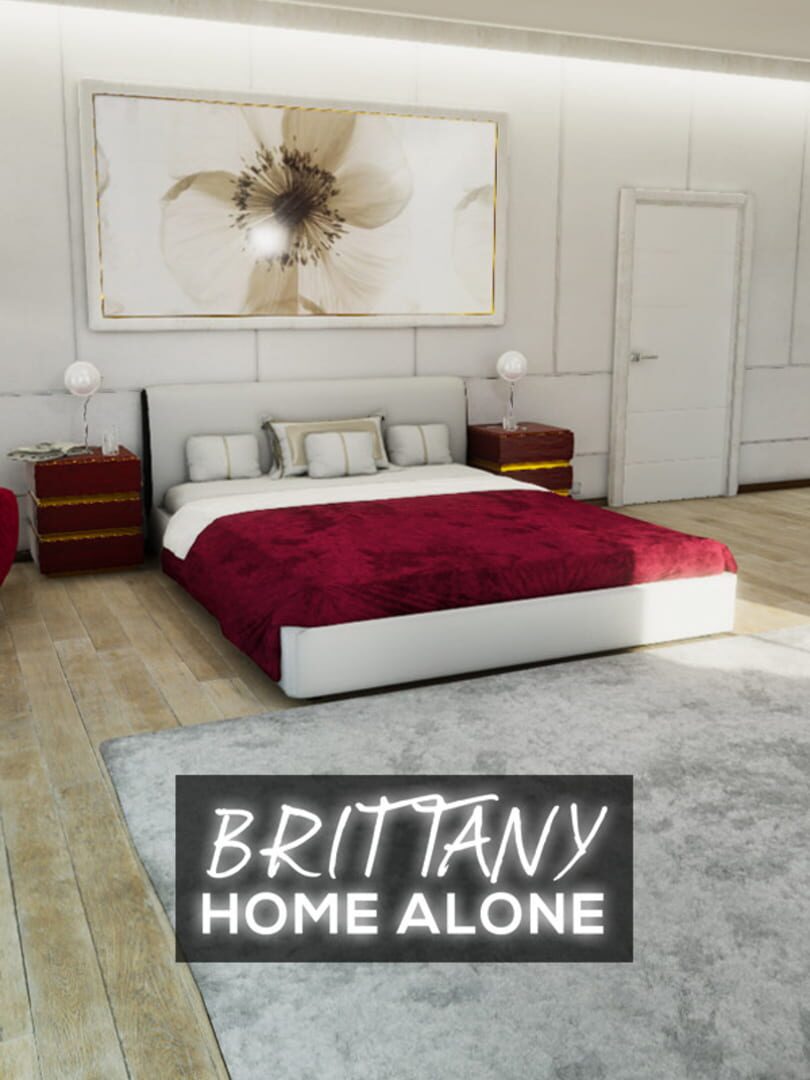 Brittany Home Alone Cover