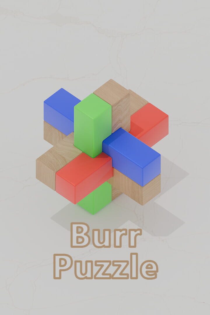 Burr Puzzle 커버