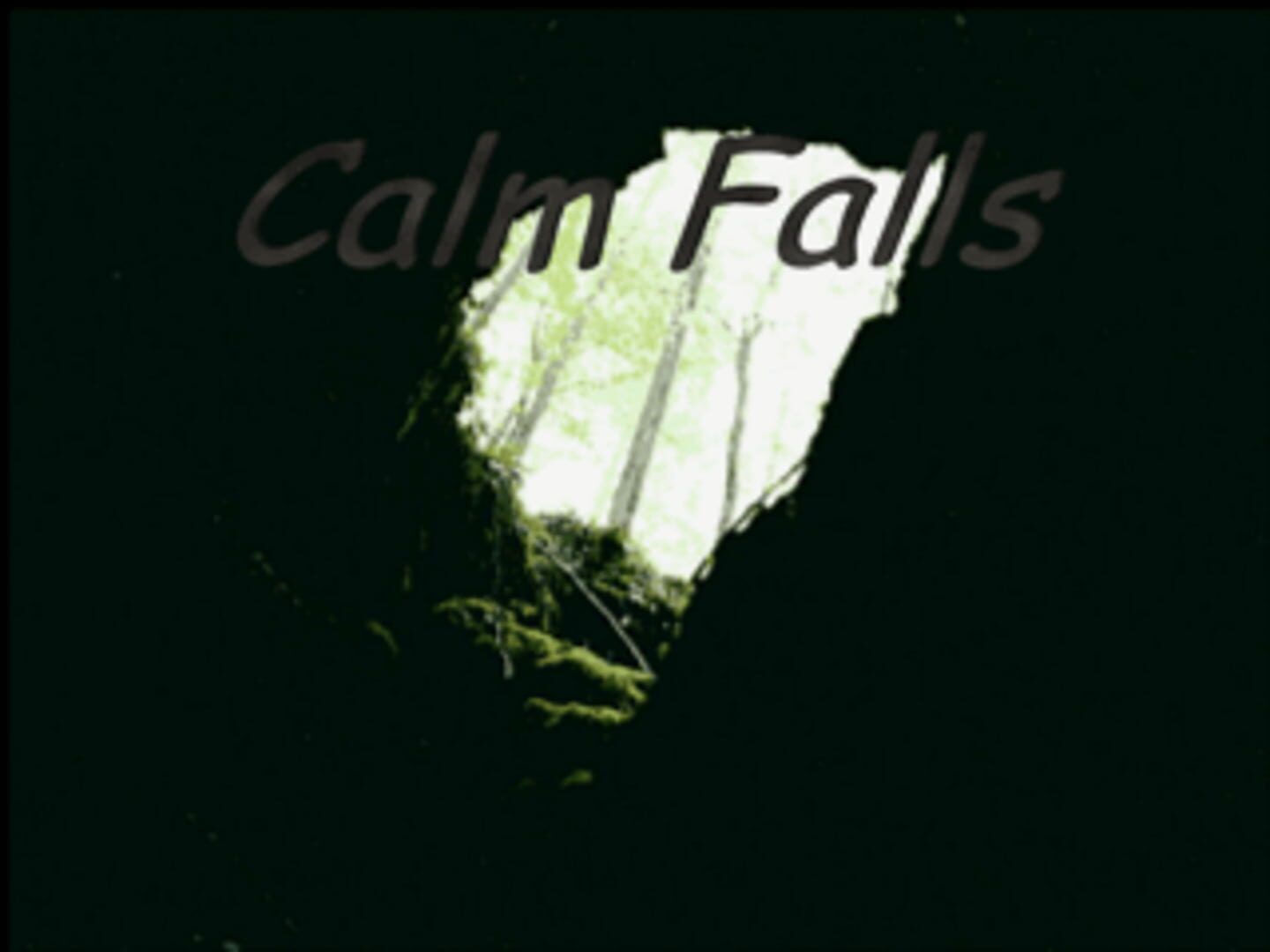Calm Falls Cover