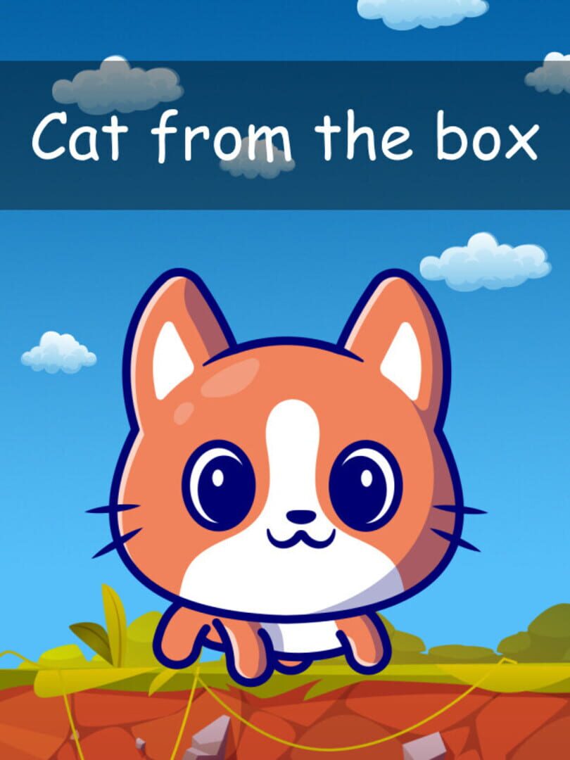 Cat from the Box Kapağı