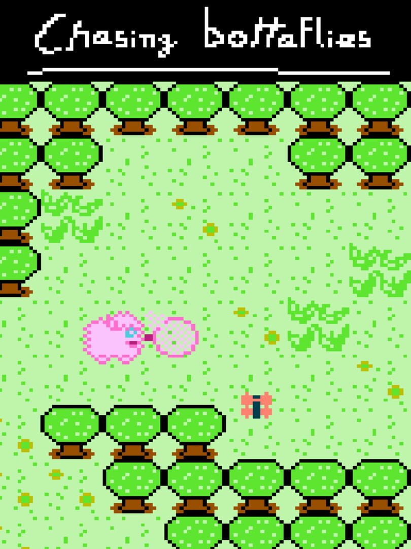 Copertina di Chasing Bottaflies