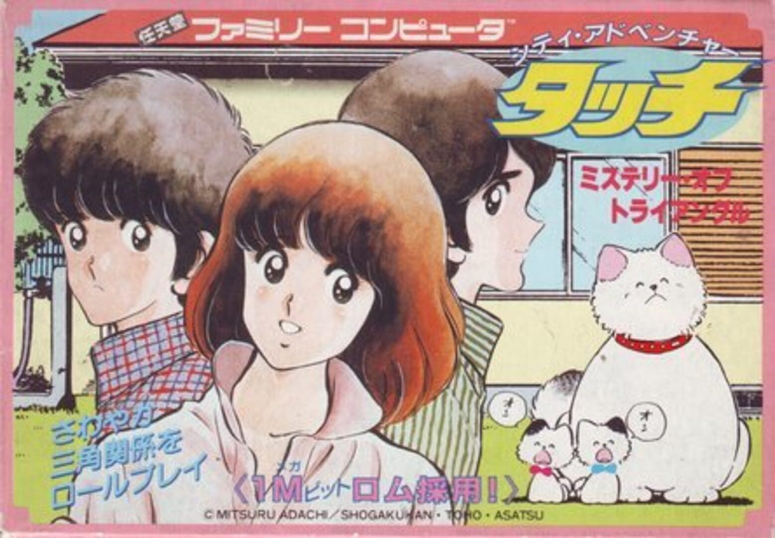 City Adventure Touch: Mystery of Triangle Cover