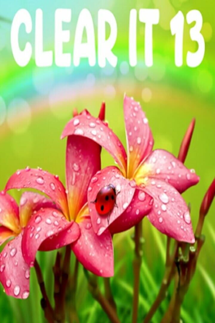Copertina di ClearIt 13