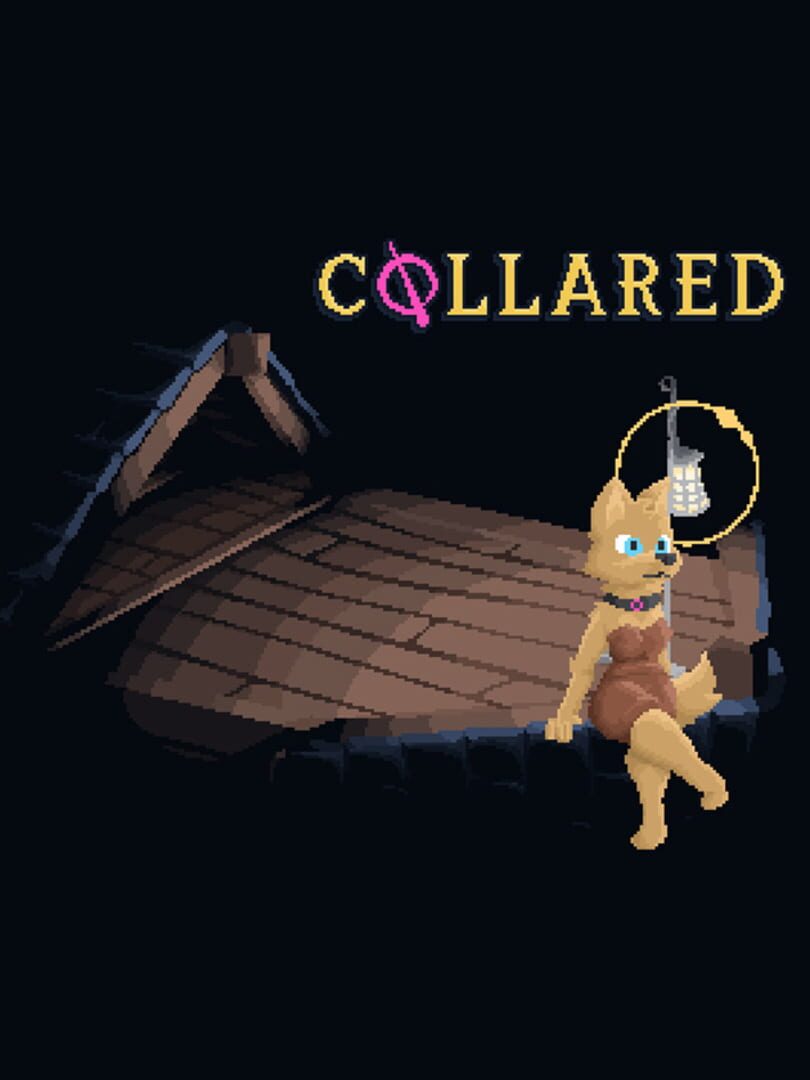 Collared 커버