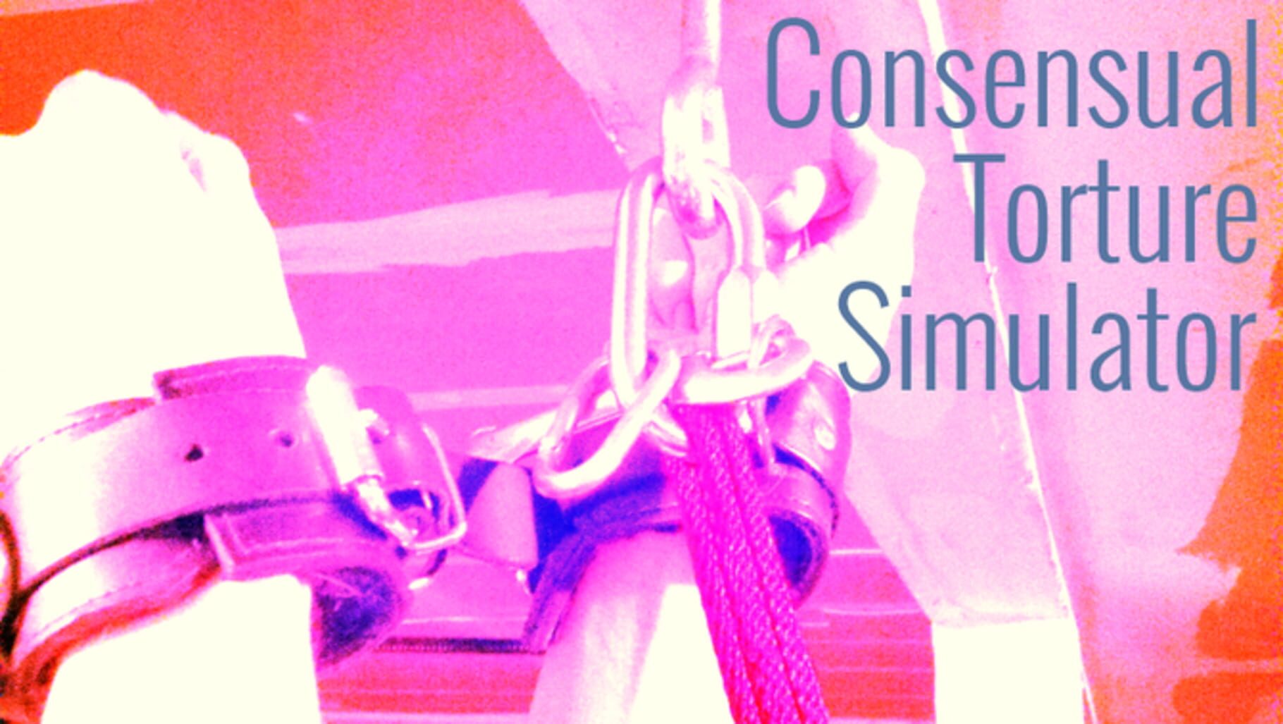 Capa de Consensual Torture Simulator