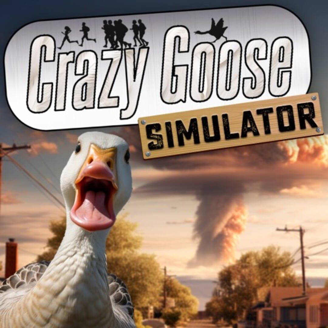 Crazy Goose Simulator カバー
