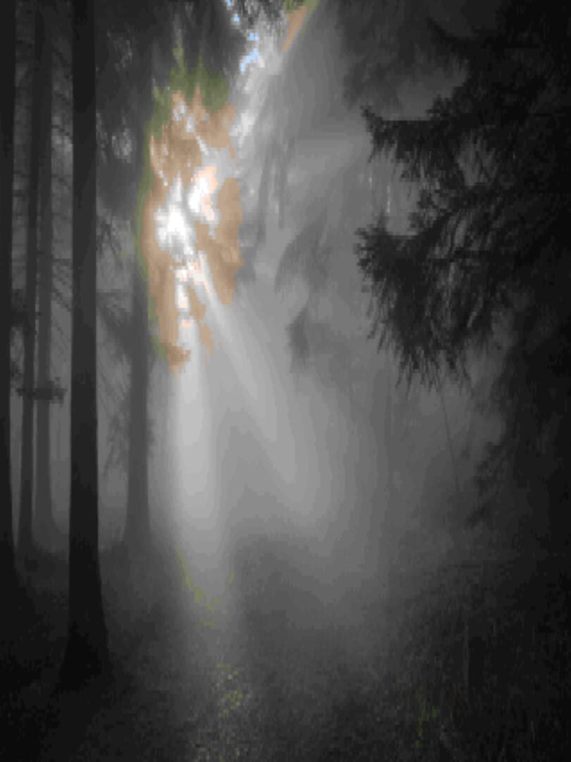 Deadly Secret Beneath the Dark Wood Cover