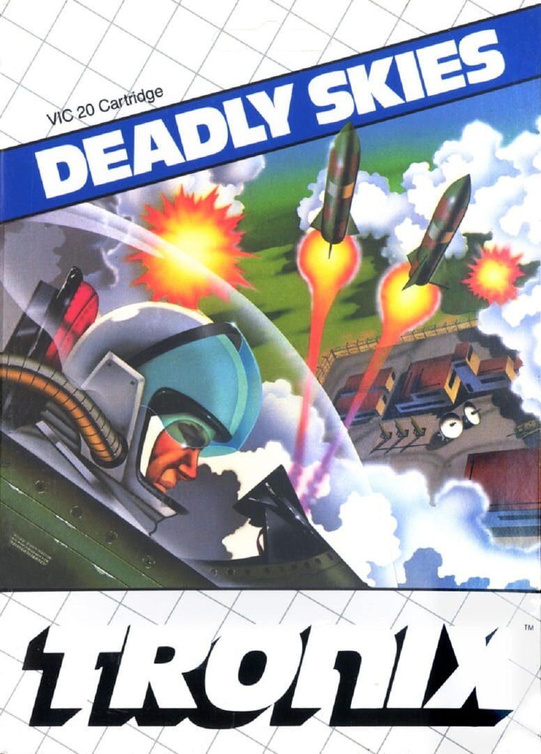 Deadly Skies カバー