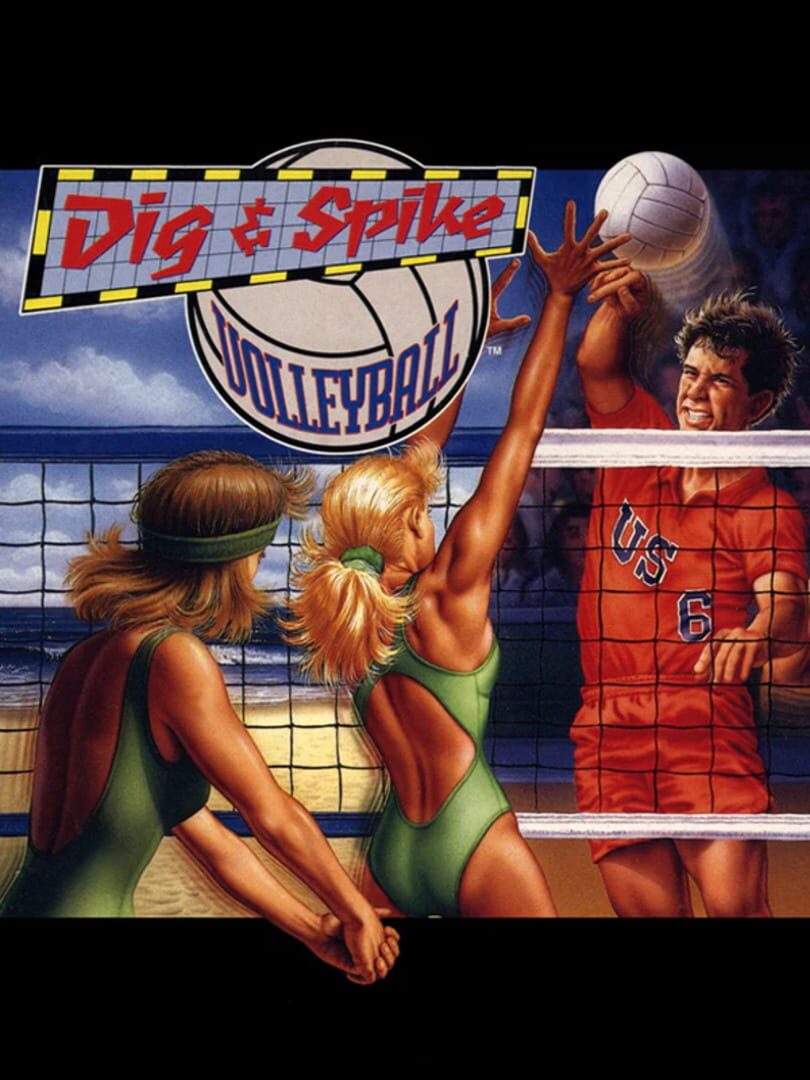 Dig & Spike Volleyball カバー