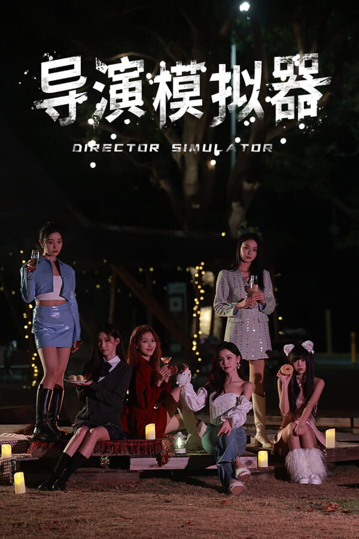 Couverture de Director Simulator