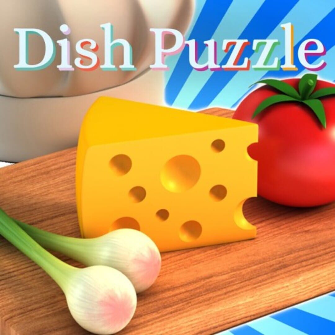 Dish Puzzle Cover