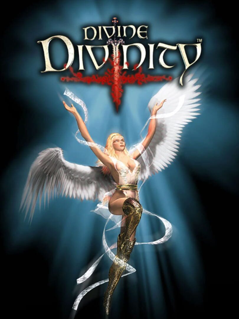 Divine Divinity 커버