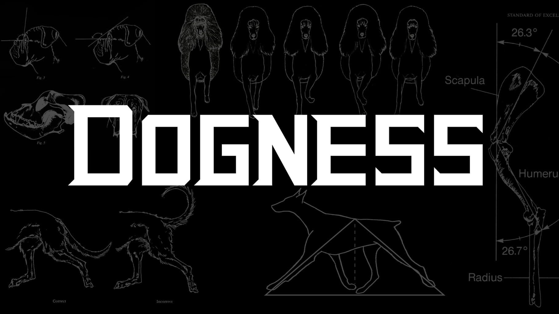 Dogness Cover