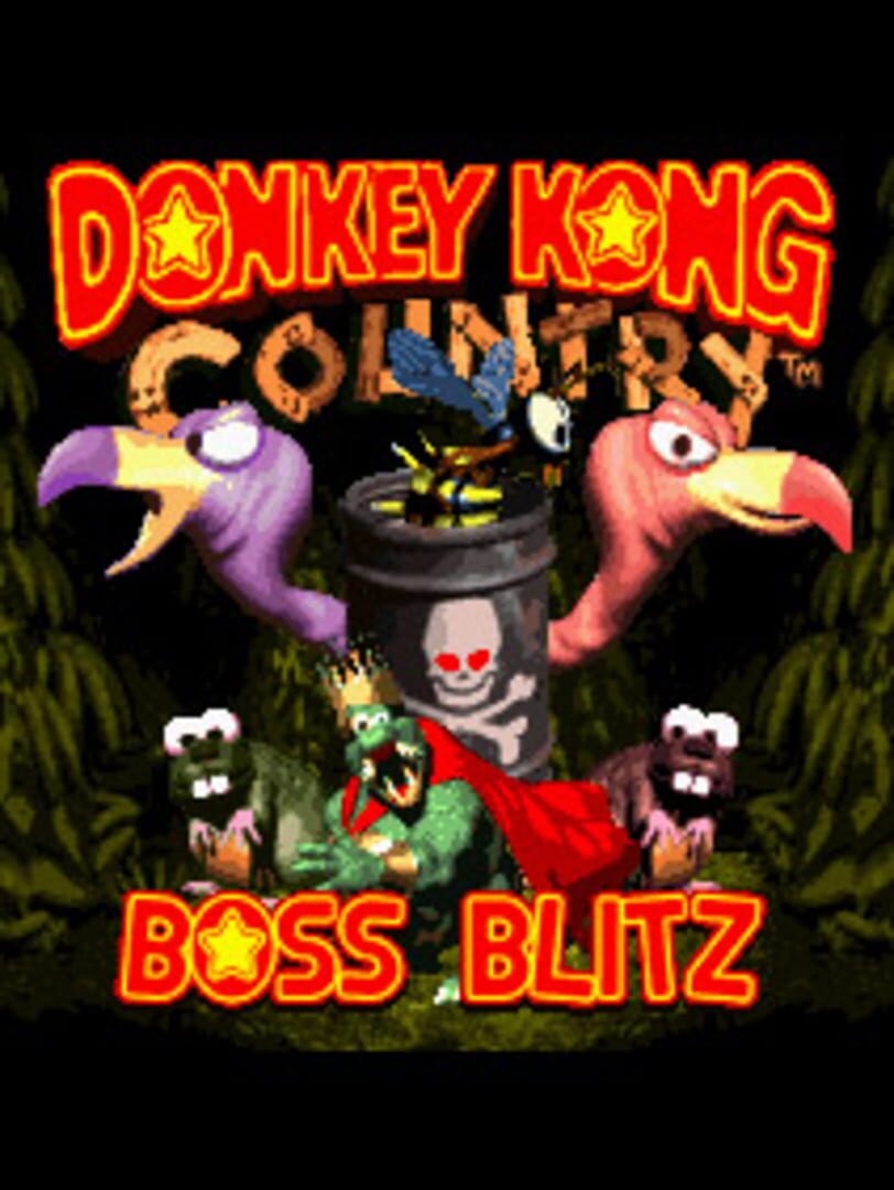Couverture de Donkey Kong Country: Boss Blitz
