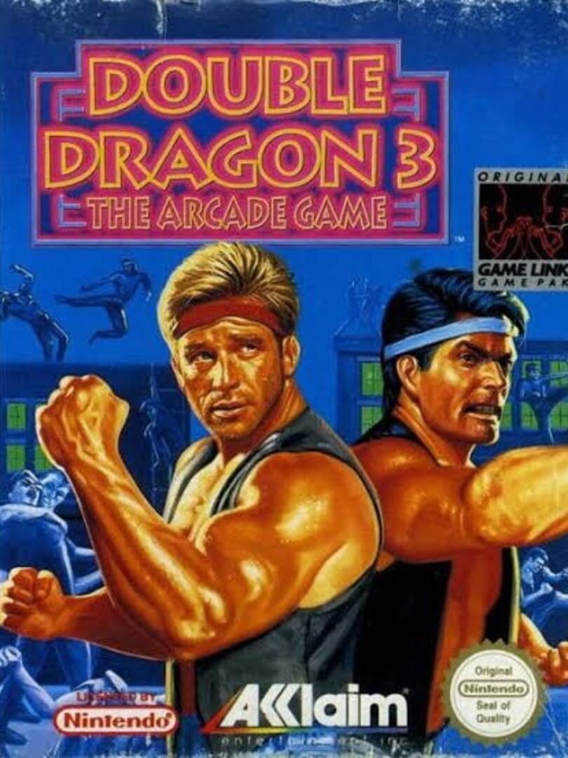 Double Dragon 3 : The Arcade Game Sur SEGA Megadrive – Complet Et En Très Bon état