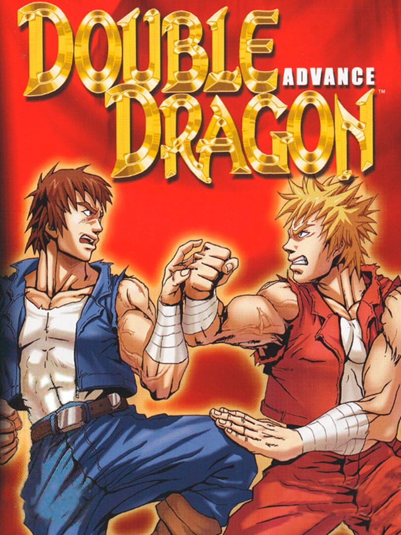 Double Dragon Advance 커버