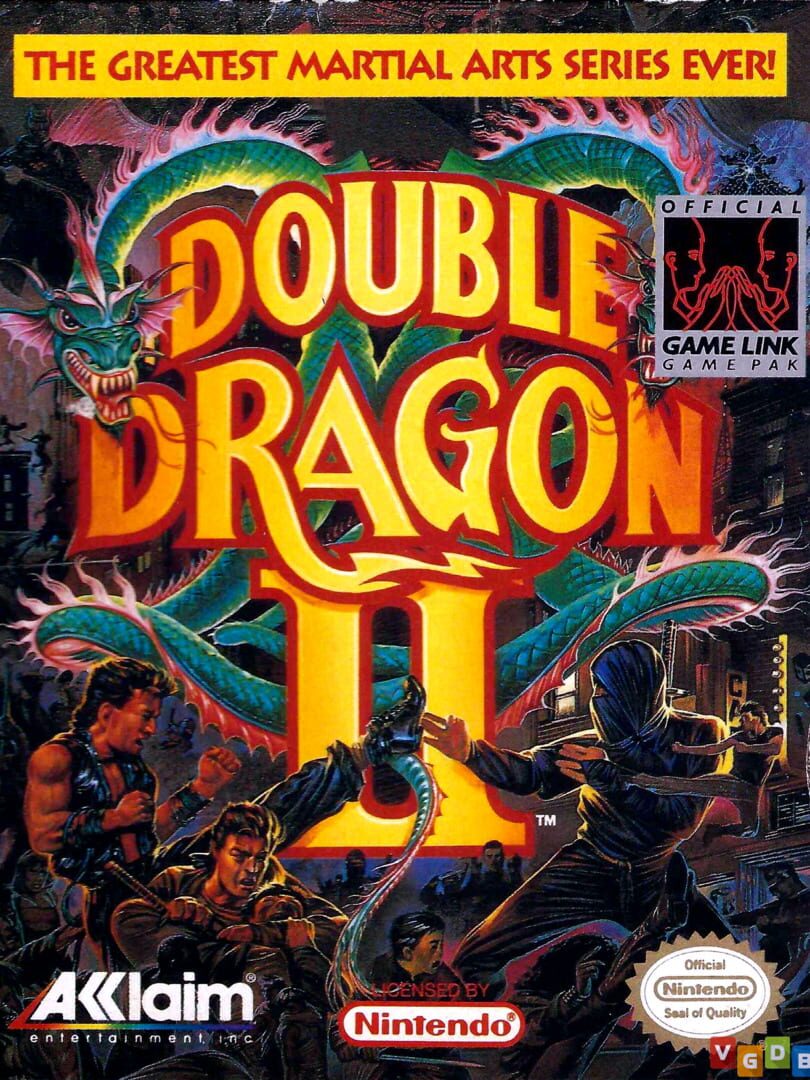 Couverture de Double Dragon II