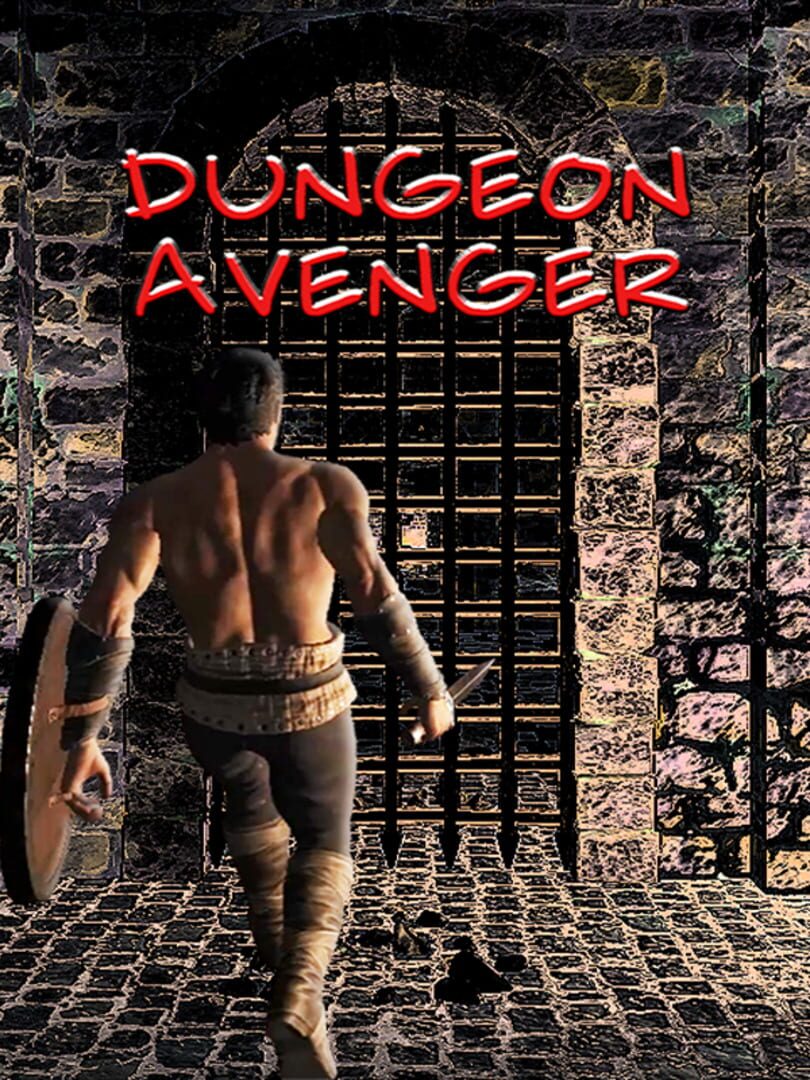 Couverture de Dungeon Avenger