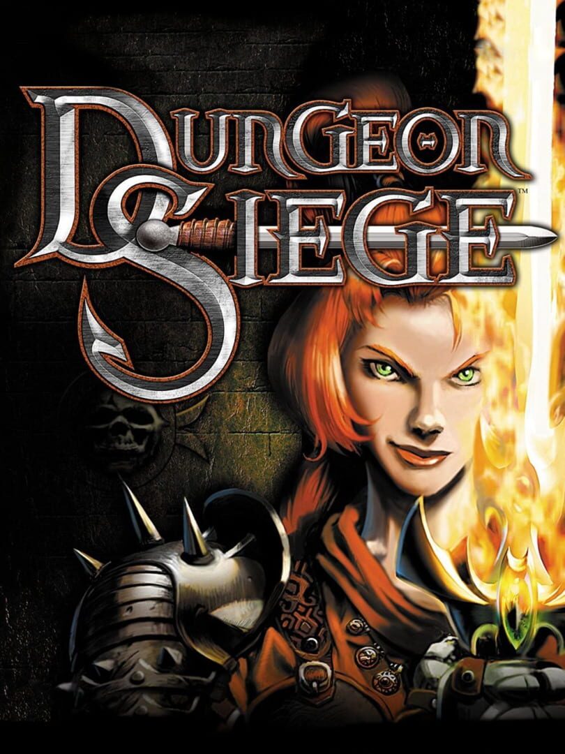 Dungeon Siege 커버